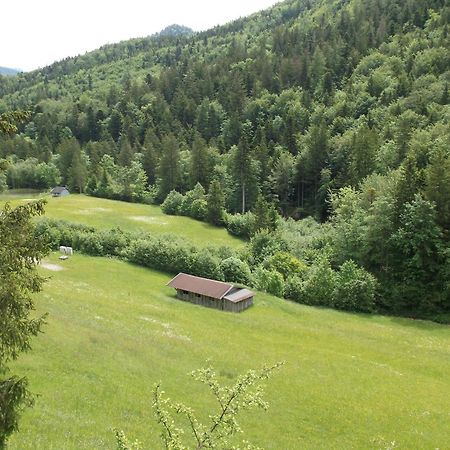 Kleine Einfache Ferienwohnung In Malerischer Umgebung Salzburgs Koppl Luaran gambar