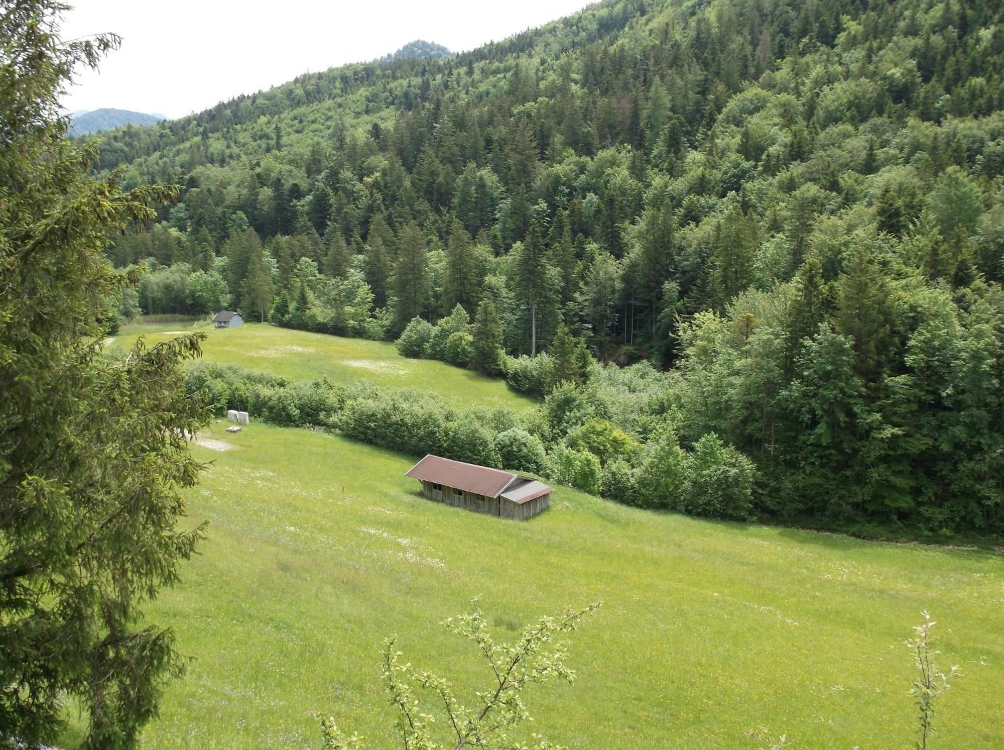 Kleine Einfache Ferienwohnung In Malerischer Umgebung Salzburgs Koppl Luaran gambar